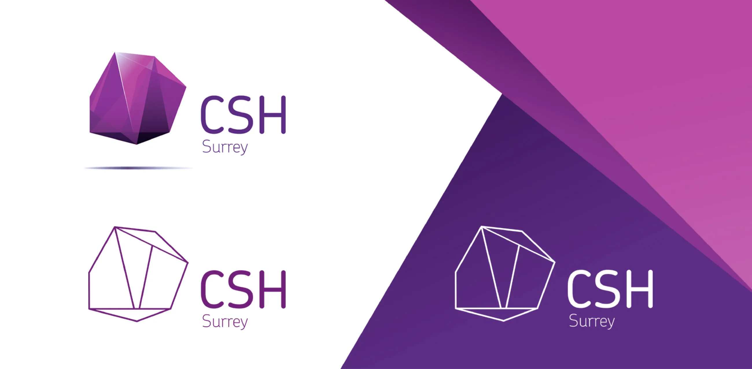 Variants of CSH Surrey logo design